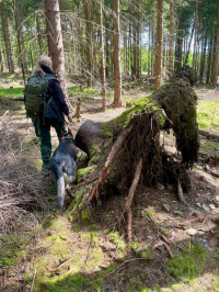 Zásah: Samaritáni pokračují v pátrání po pohřešovaném Ing. Janu Černém. - Samaritans continue to search for missing Ing. Jan Černý. 